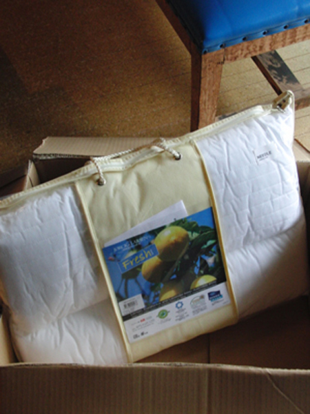 通販で購入した北欧の枕　ダンフィル